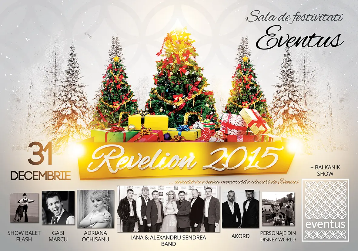 Anul Nou 2015