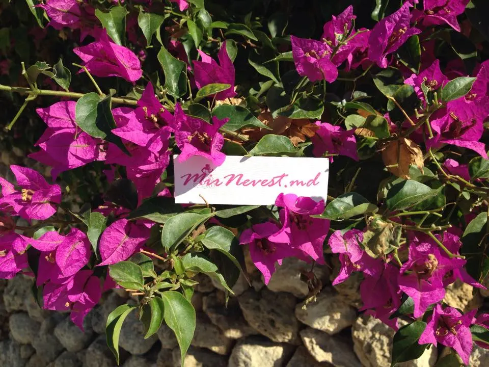 Мальта. Остров Гозо