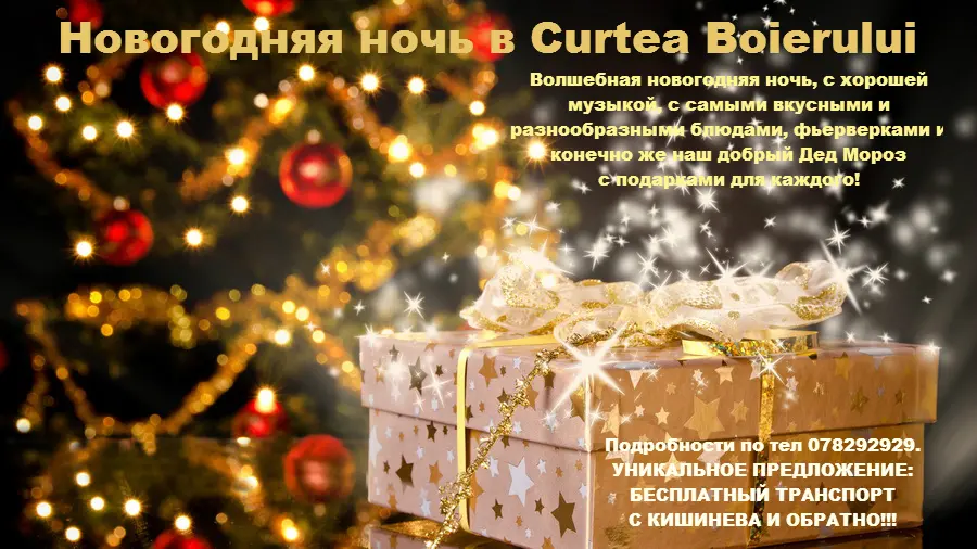 Anul Nou 2015